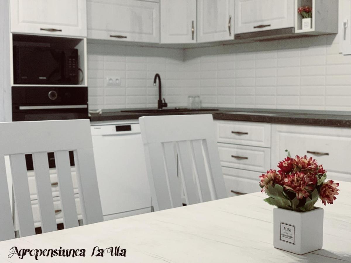 Agropensiunea La Uta Rebrisoara Bagian luar foto